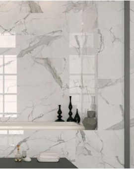 Ceramic Look marble Encrypt Statuario