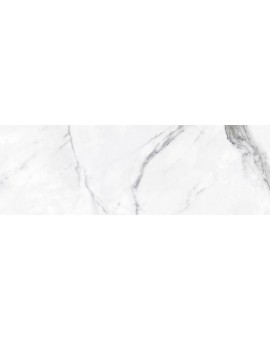 Ceramic Look marble Encrypt Statuario