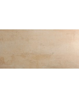 ACIER BEIGE 30X60 (1) CICOGRES