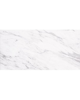 CARRARA 33X66 CODICER