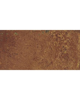 CORTEN 2CM OUTDOOR OXIDUM 50X100 APARICI