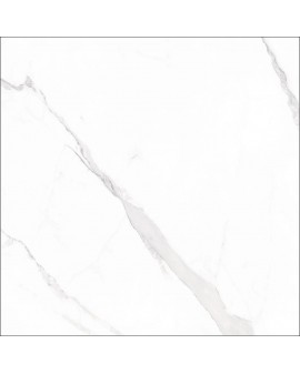 STATUARY BLANCO 60X120 GEOTILES