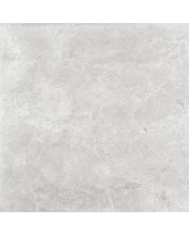 ANTICA GREY MARBLE MAT (2º) 60X60 Ceramica Magica