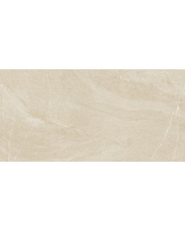 CLARK 60X120 ARENA GEOTILES