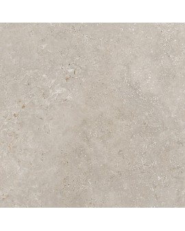 RODEN BEIGE GEOTILES