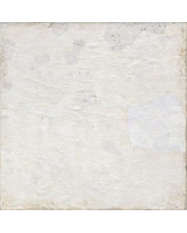 REVESTIMIENTO AGED 20X20 APARICI / White / Dark Ornato