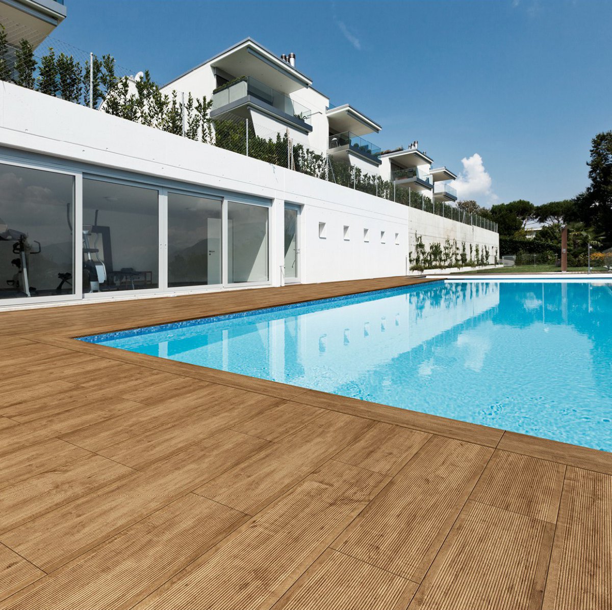 BRANCH OAK 15X60 APARICI