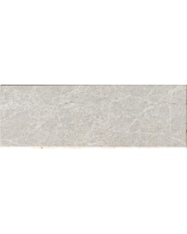 REVESTIMIENTO PALAZZO WALL 25X75 APARICI / Ivory / Normal / Ivory / Reale
