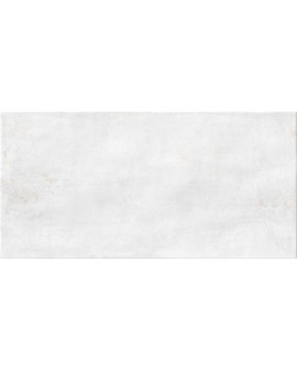 FAÏENCE NUANCE BRILLO 29,5X59,5 COLORKER / White / Normal / White / Decor