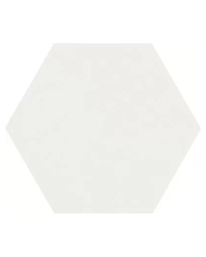 PORCELAIN TILE BOOM 14X16 PORCELÁNICO MATE CEVICA / Normal / Snapdragon