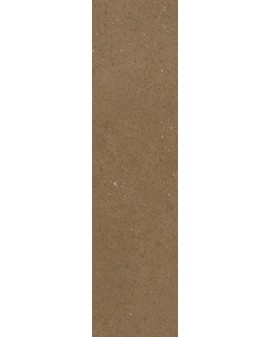 PORCELAIN TILE ZERO MATE 8X31,5 VIVES / Origo / Green