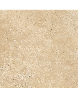  ARGILE BEIGE 33,3X33,3 HDC