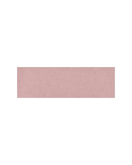  LOTUS BLUSH 31,6X100 MATE COLORKER