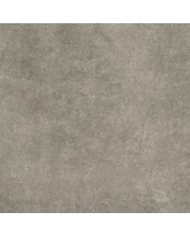  ESS. POLCK GRIS MATE PRISSMACER