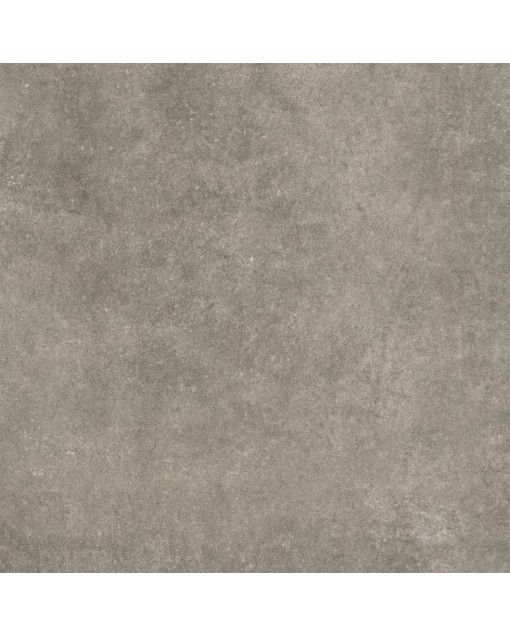  ESS. POLCK GRIS MATE PRISSMACER