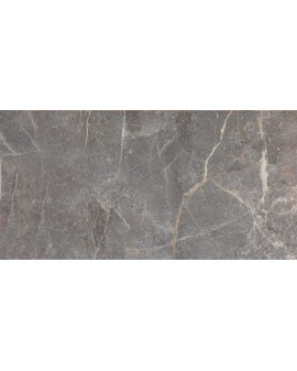  ESS. AUREA BRILLO GRIS 25X50 PRISSMACER
