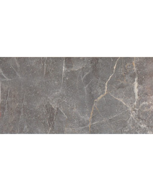  ESS. AUREA BRILLO GRIS 25X50 PRISSMACER