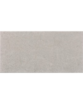 DAFNE GRIS MATE 25X50 NAVARTI