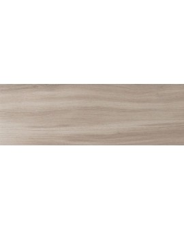  TIOGA GRIS MATE 20X60 NAVARTI