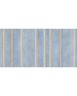  PARADOX BLUE FORM NATURAL 49,75X99,55 APARICI
