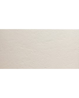 PORCELÁNICO EC1 CERDISA
