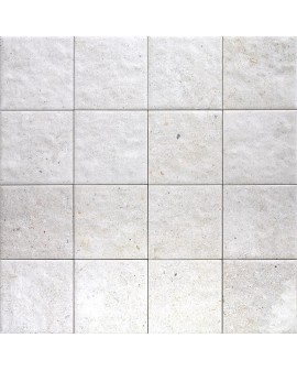  TAIPEI WHITE MATE 15X15 MAINZU