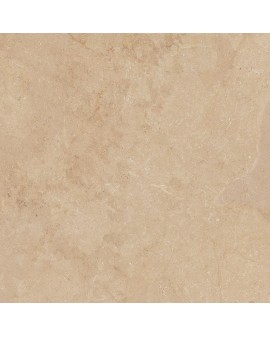  SALMA AMBER MATE ITT