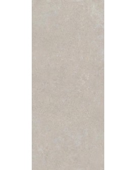 CEMENT-EFFECT PORCELAIN BATELA MATT 120X280 NAVARTI