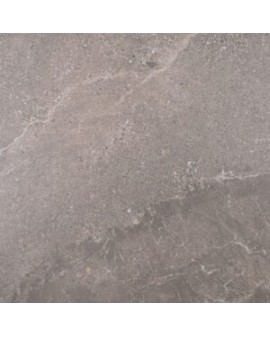 ARLINGTON GREY MATE PASICOS