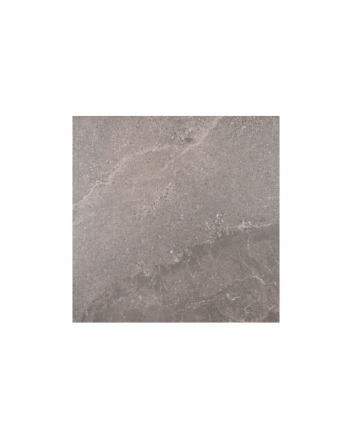 ARLINGTON GREY MATE PASICOS