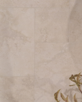  AUSTIN BONE MATE PASICOS