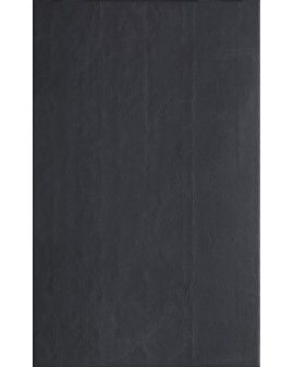 REVESTIMIENTO ESSENCE MATE 25X40 PASICOS