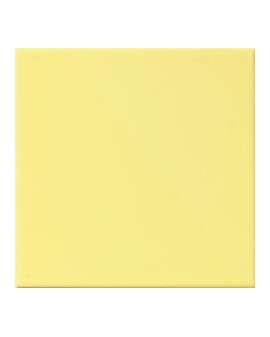 REVESTIMIENTO MOCOCOLOR LISO MATE/BRILLO 20X20 PASICOS