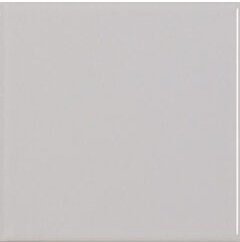  LISO GRIS MATE/BRILLO 20X20 PASICOS