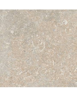 VIE DELLA PIETRA CHIANCA MATE 22,5X45,3 MARCA CORONA