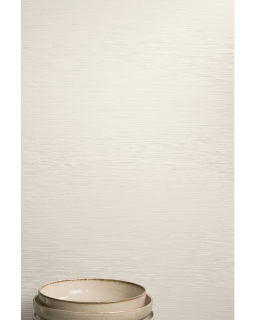 IRIDEA ZUCCHERO MATE 50X120 MARCA CORONA