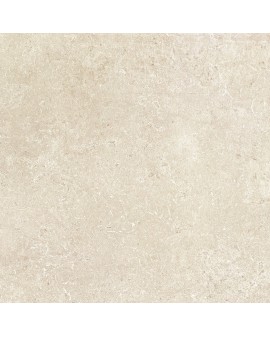  ICONIC BEIGE MATE HDC