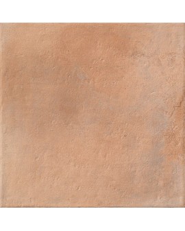  SAONA COTTO ASTI-SLIP MATE 33,15X33,15 GAYAFORES