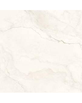 CARRELAGE MARBLE LOOK CRONOS GEOTILES