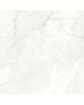  CRONOS BLANCO GEOTILES