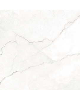 TEMPUS GLOSSY MARBLE LOOK PORCELAIN TILE GEOTILES