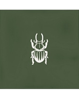 ROOT AGER GREEN DECOR. 13X13 VIVES