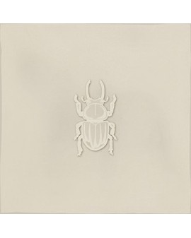 ROOT AGER PEARL DECOR. 13X13 VIVES