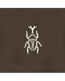 ROOT AGER BROWN DECOR. 13X13 VIVES