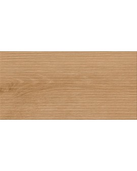 RLV. SERENE FUOCCO 30X60 MATE PRISSMACER