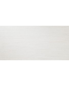 CAESAR WHITE MATE 60X120 PRISSMACER