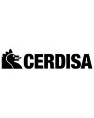 Cerdisa